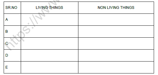 CBSE Class 5 Science Living things Worksheet